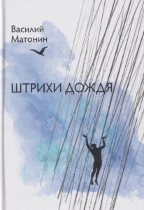 Штрихи дождя